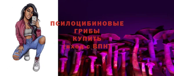 прущий лед Аркадак