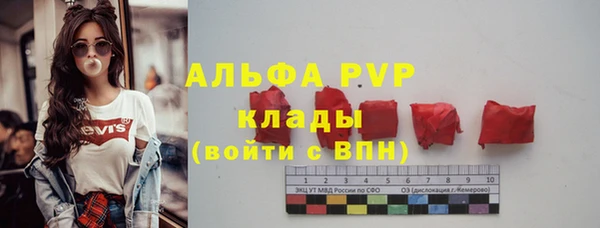 сатива Армянск