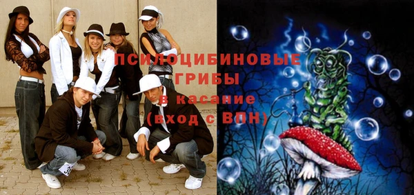 гашик Балабаново